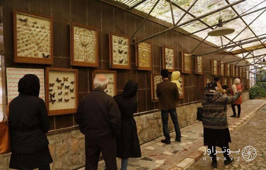 موزه پروانه‌ها در اصفهان